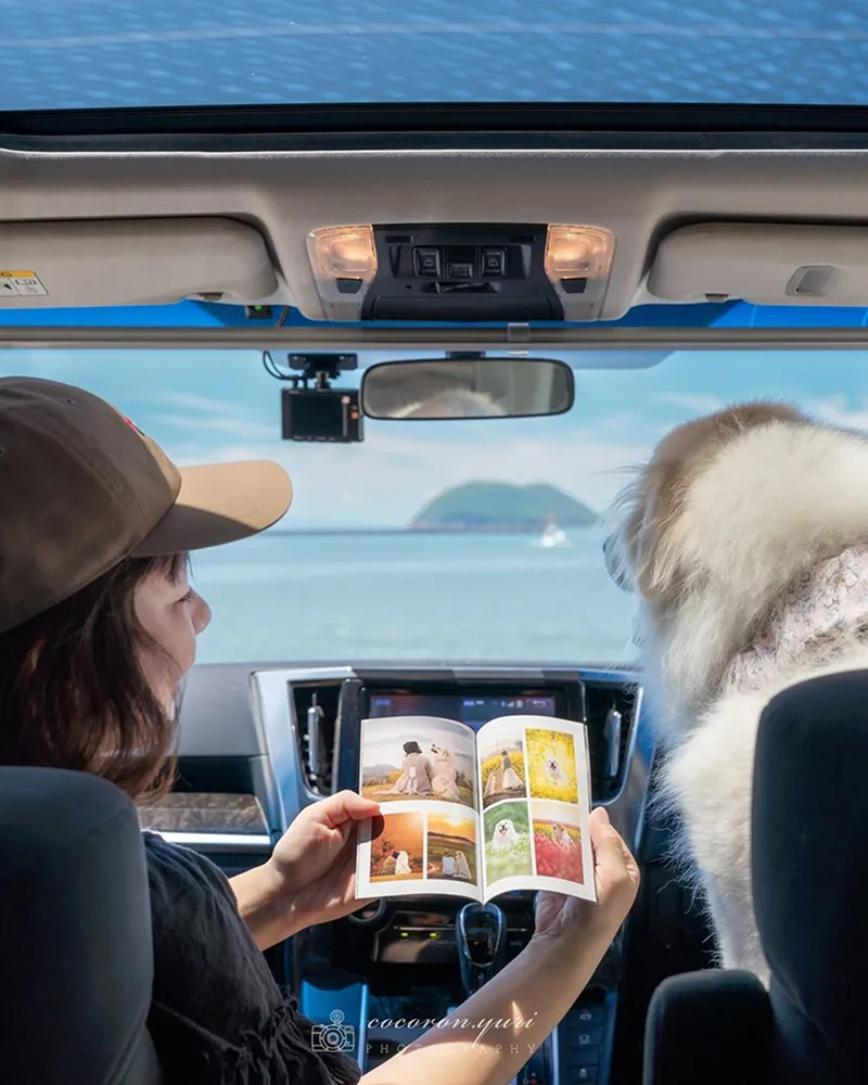 ショーケース写真2