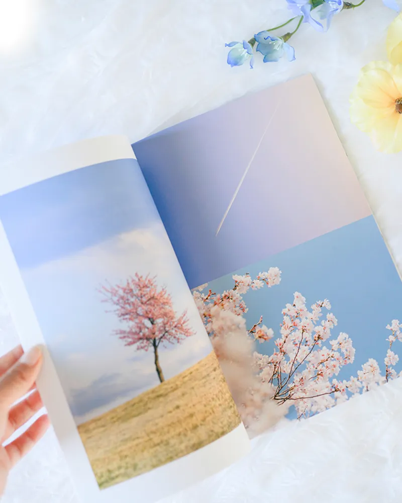 ショーケース写真4