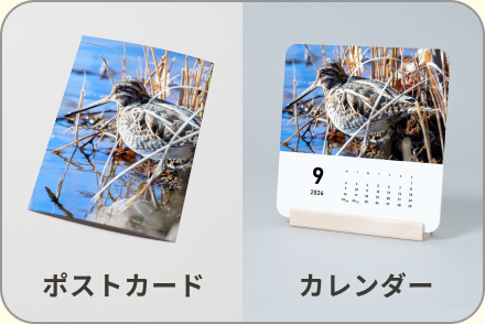 受賞作品で作ったしまうまプリントオリジナルグッズ