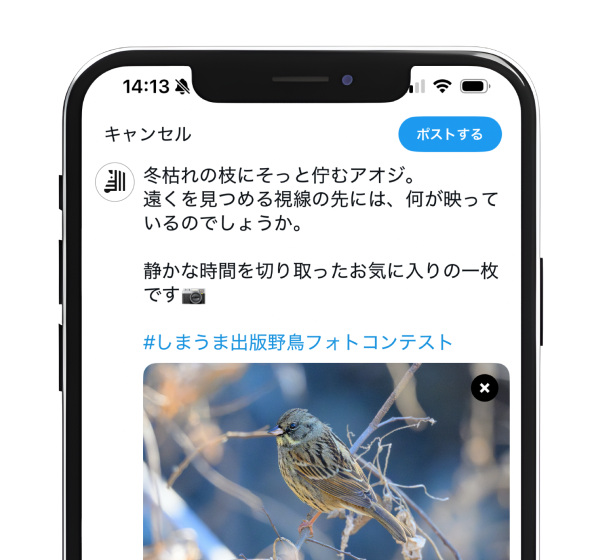 X（旧Twitter）STEP2