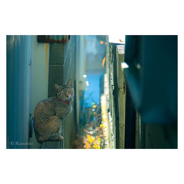 路地裏のおともだち賞 受賞作品
