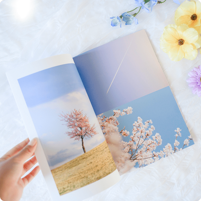 ショーケース写真4